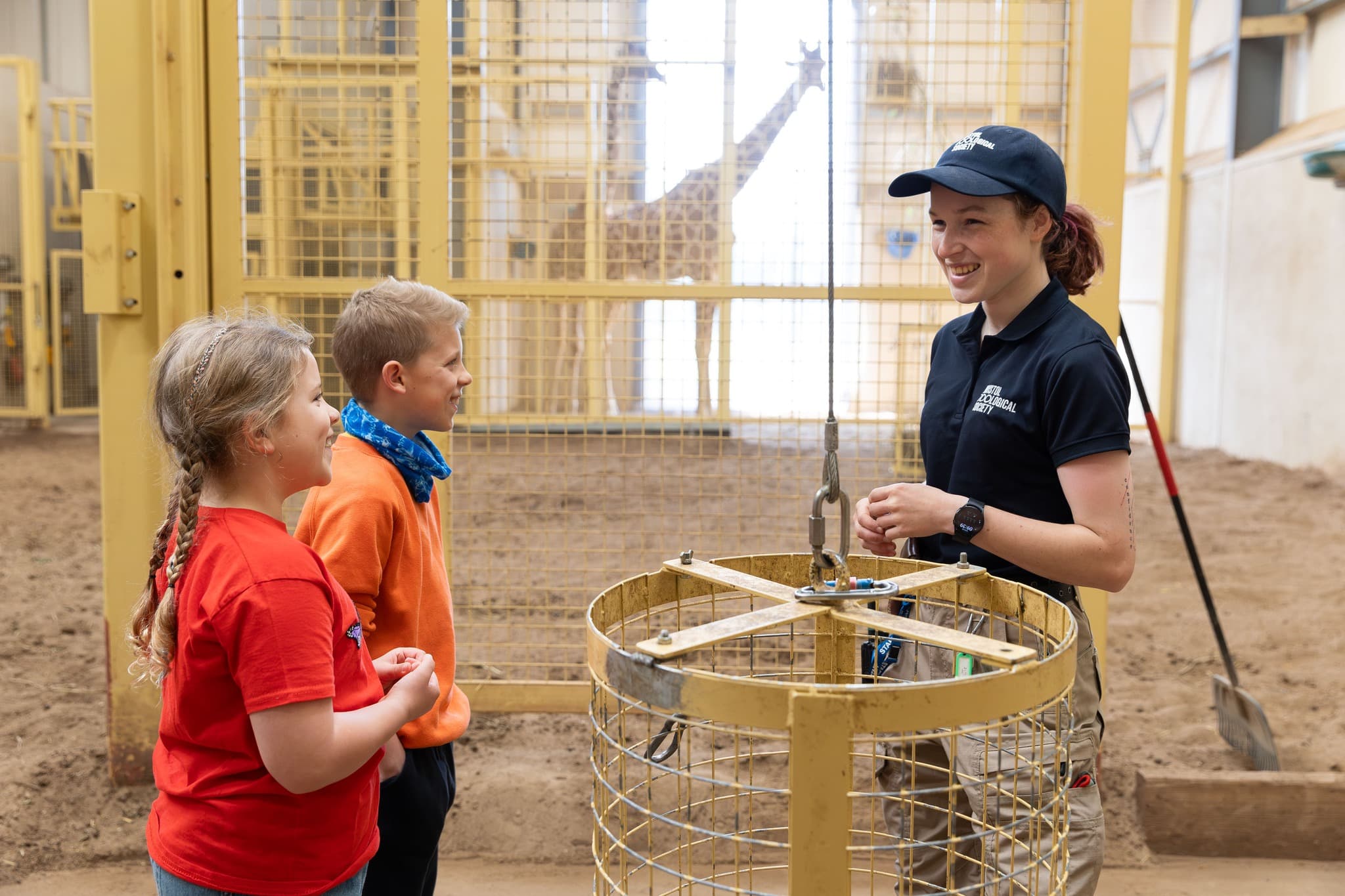 Bristol-Zoo-Project-4