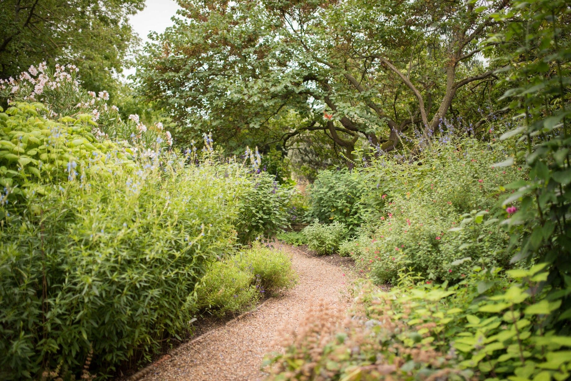 Chelsea-Physic-Garden-3