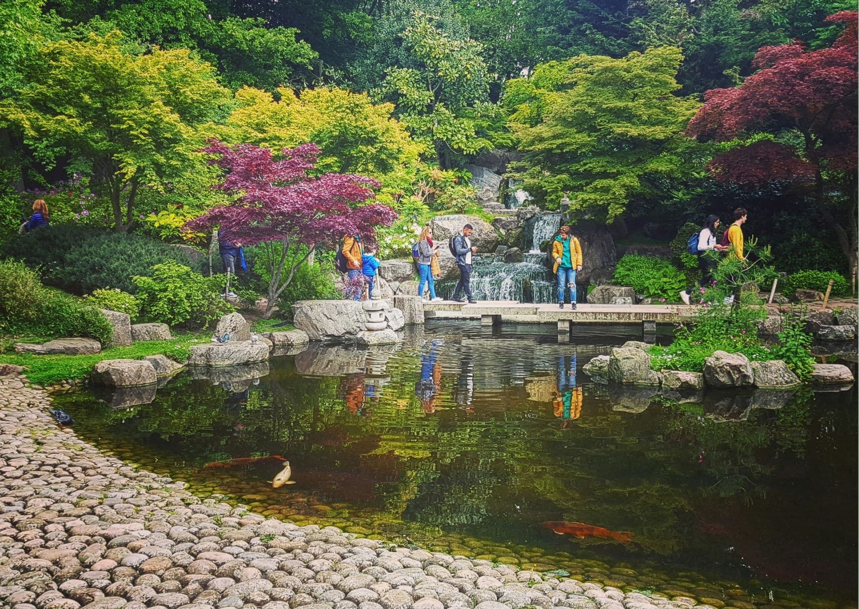 Kyoto Gardens at Holland Park