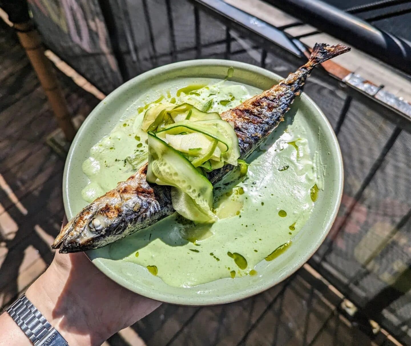 Root-4-e1720691376299