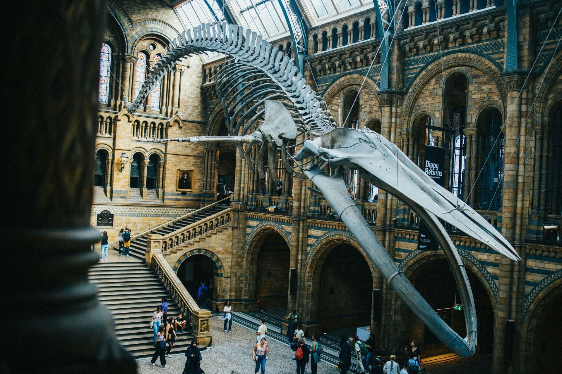 Serviced Apartments Near Natural History Museum