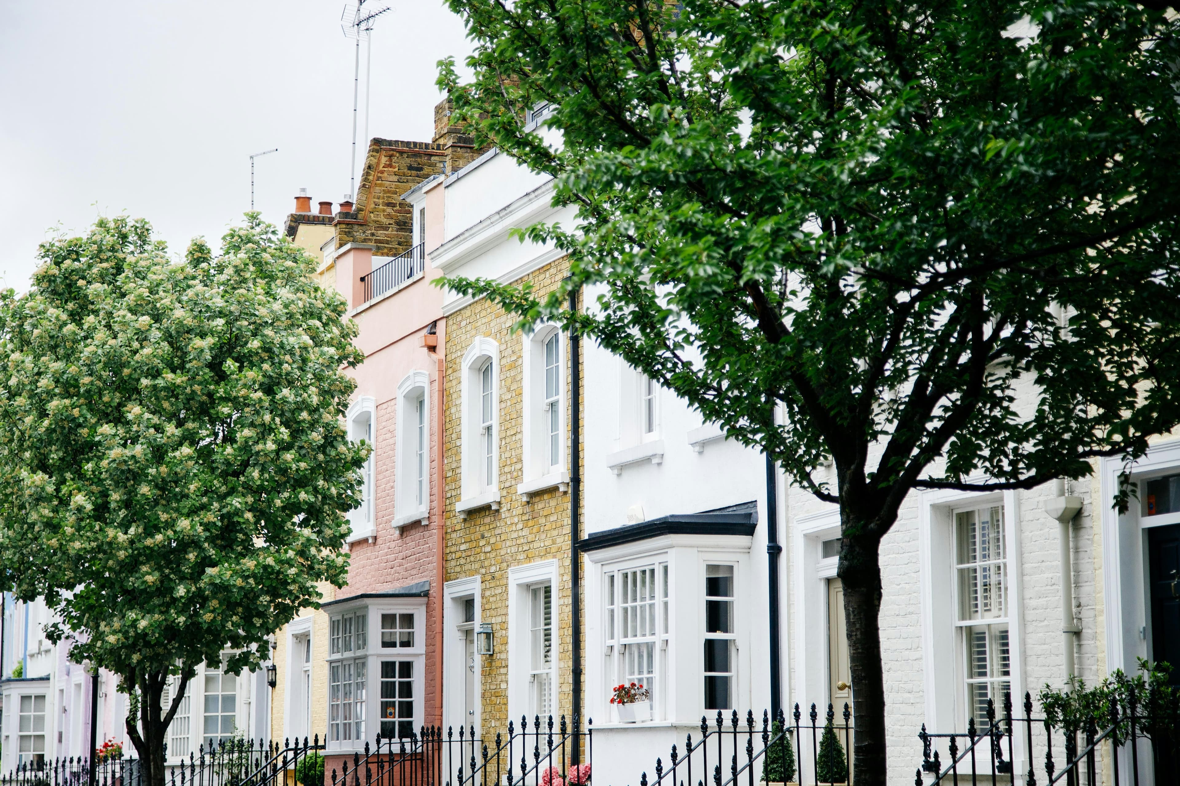 Things To Do in Chelsea