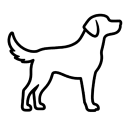 Pet friendly