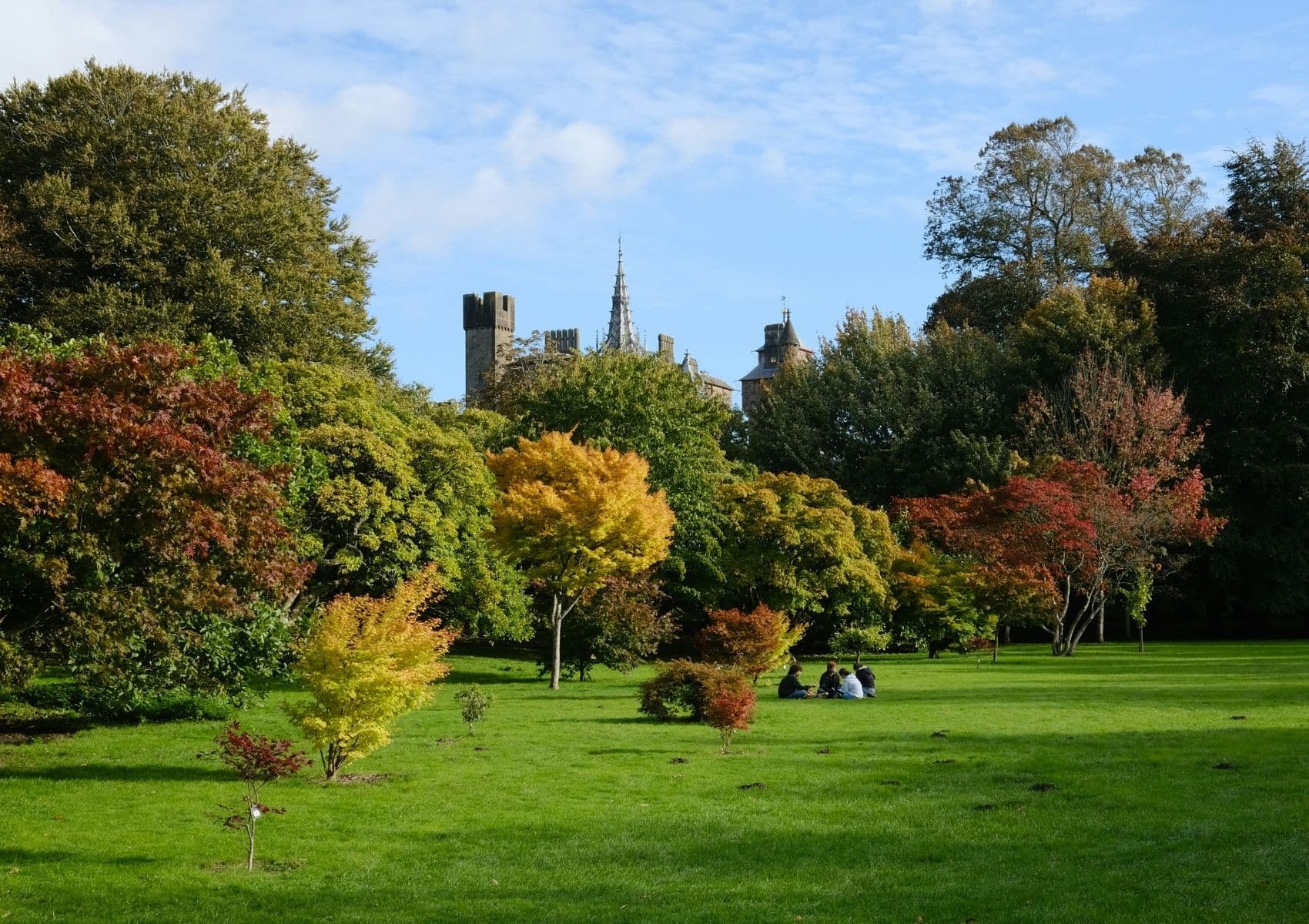 Things to do in Cardiff Guide