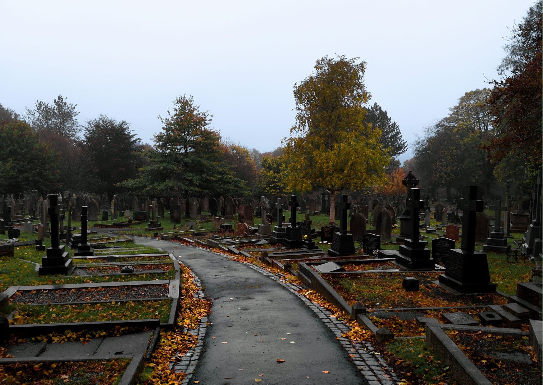 Serviced Apartments near Brompton Cemetery