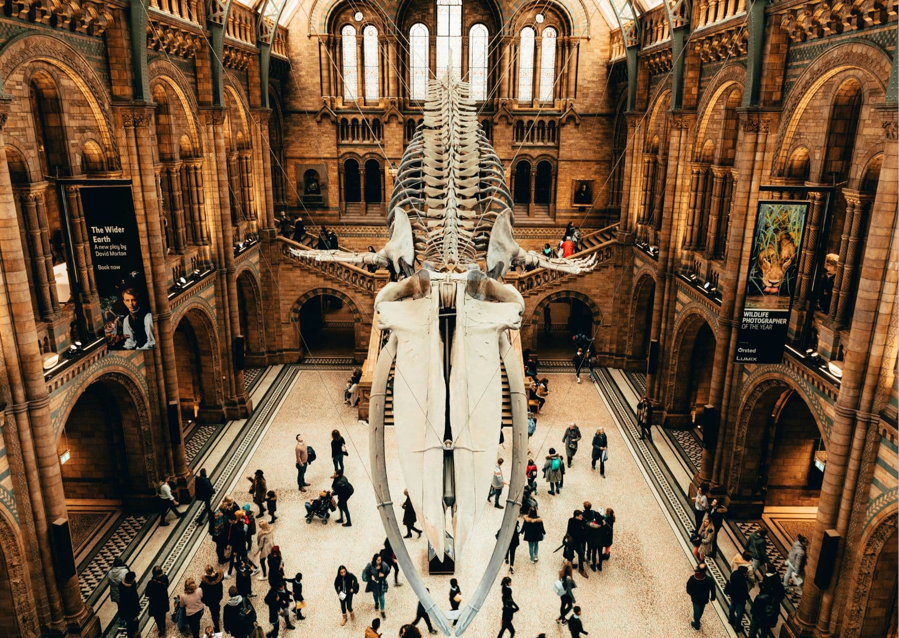 Serviced Apartments near Natural History Museum