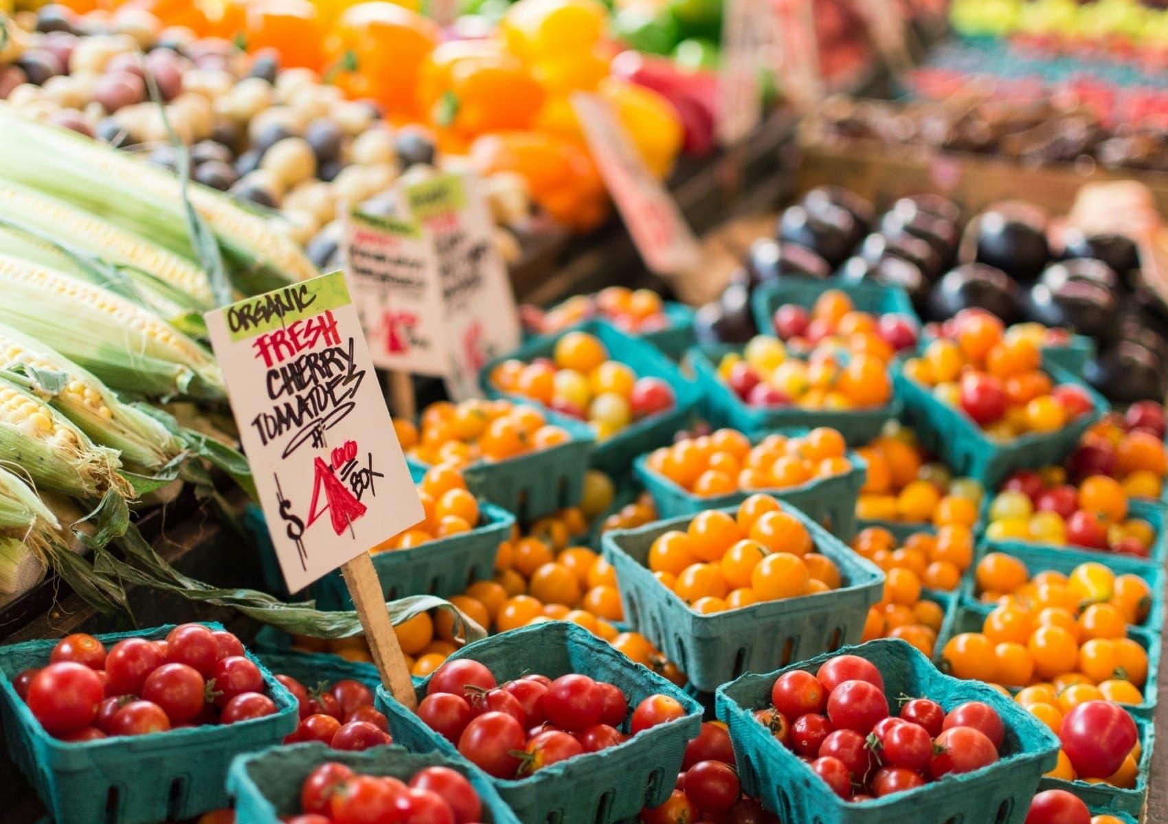 Things To Do in Tooting Guide