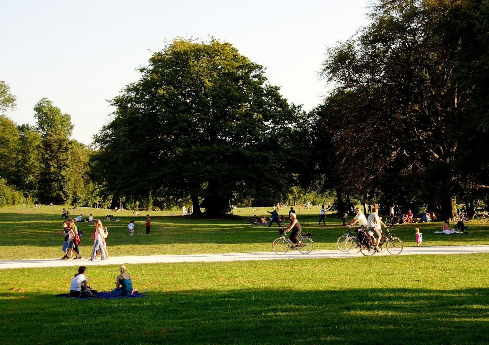 Things To Do in Tooting Guide