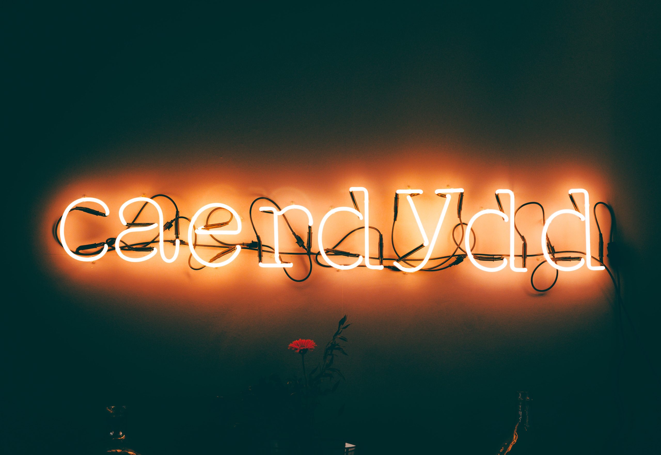 Cardiff Neon sign